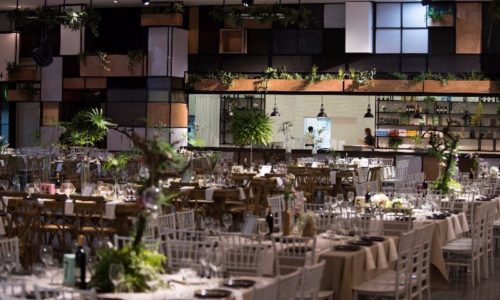 עיצוב בגאיה