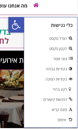 תפריט נגישות באתר הפקות