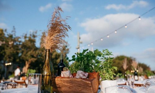 מטעים אירועים