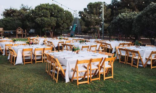 מטעים בר מצווה