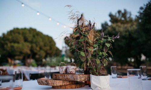 מטעים רמת הנדיב אירועים עסקיים