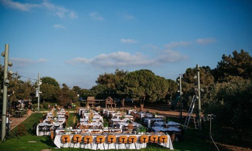 מטעים רמת הנדיב חתונה