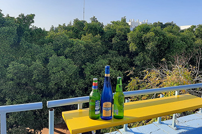 הגג של אדמונד