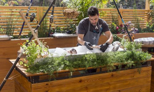 החמאם ביפו מזון