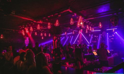 פייק ניוז שרונה