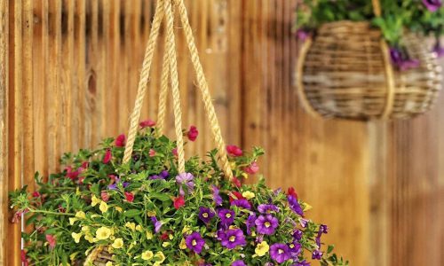 אמיל בוטה מול חומות העיר