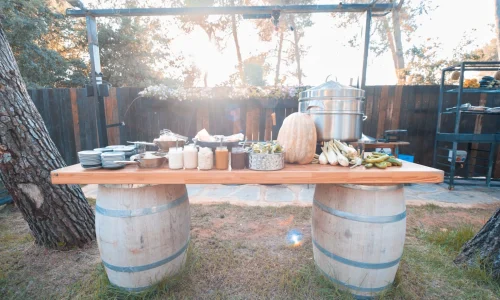 בר מצווה בטבע בירושלים