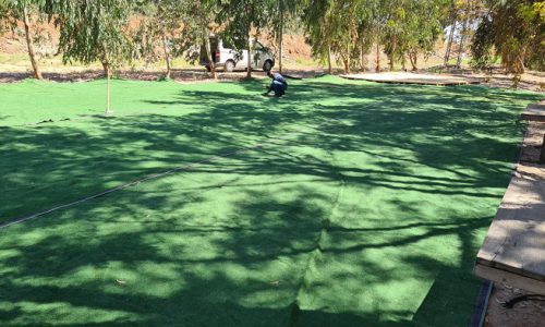 יער גאליה אירועים עסקיים