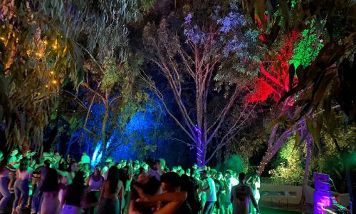 יער גאליה אירועים פרטיים בטבע