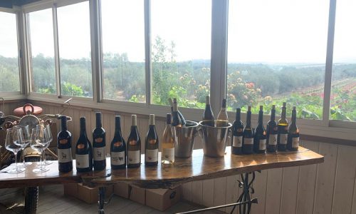 יקב פאר אירועים עד 100 איש