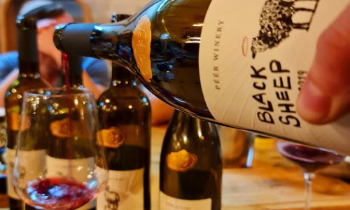 יקב פאר טל שחר