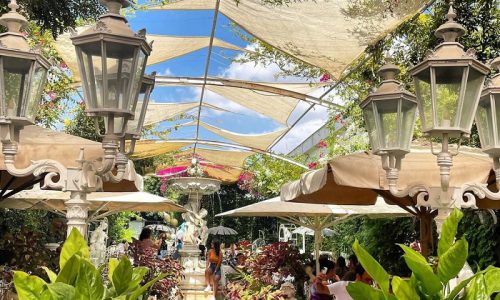 הגלריה של אלמוג אירועים