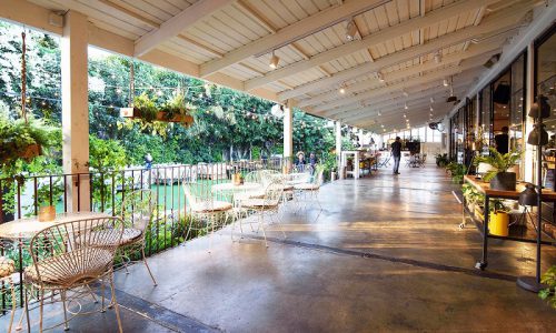 white פרדס חנה אירועים