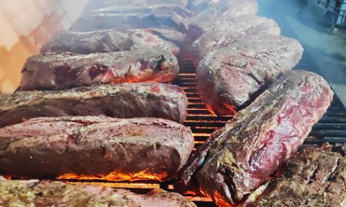 גודיז השקות