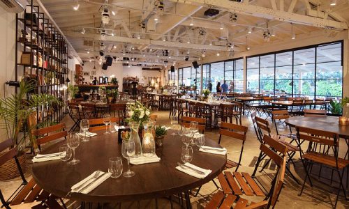 וויט פרדס חנה