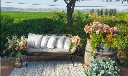 חוות עמק איילון אירועים