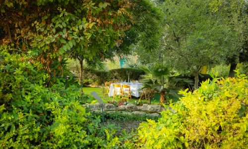 חוות עמק איילון בר מצווה