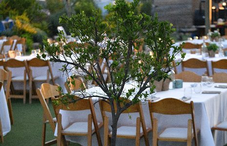 חוות עמק איילון חתונה