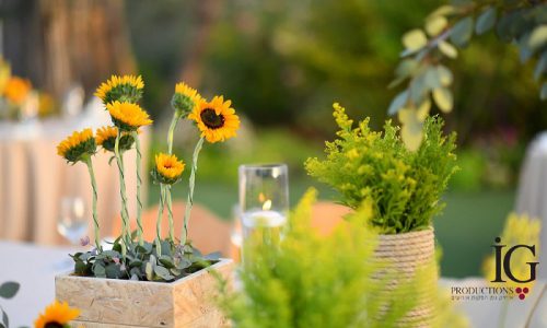 חוות עמק איילון חתונה כפרית