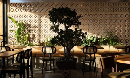 אירועים עסקיים - Cinema paradiso