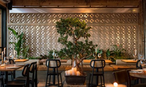 סינמה פרדיסו חתונות