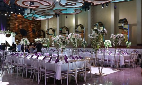 אולמי נוביה