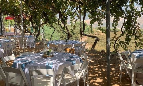 בר בכרם אירוע עסקי