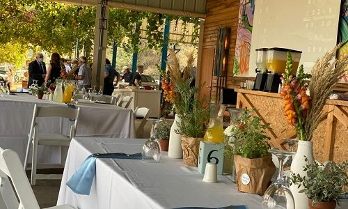 בר בכרם בת מצווה