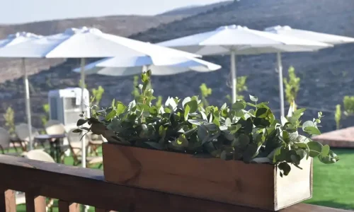 הכוורת בית חורין ירושלים