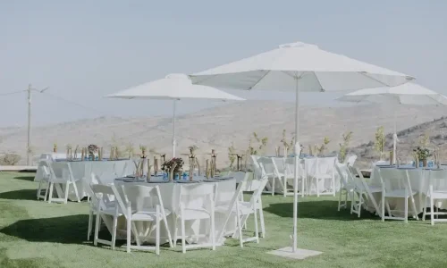 כוורת ירושלים