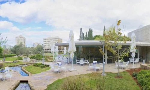 קפה מדע רחובות