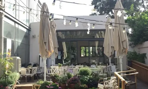 בית כנסת נווה צדק