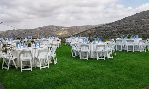 הכוורת בירושלים