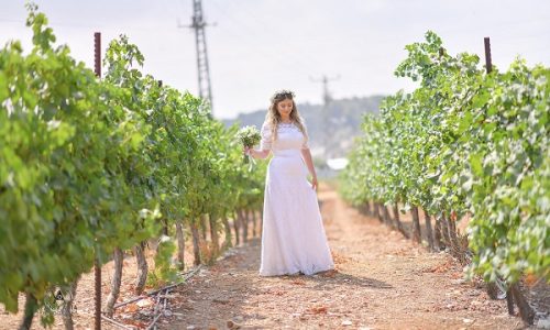 יקב גוש עציון חתונה