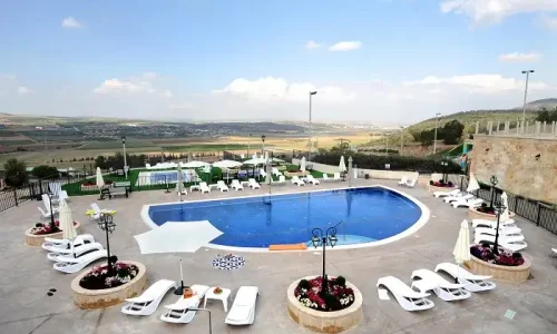 אוליב בגלבוע