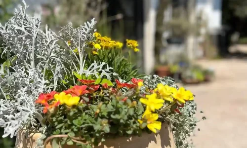 אירועים משפחתיים עד 60 איש