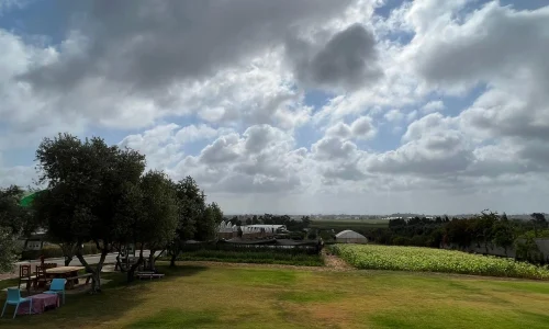 אירועים עסקיים בטבע