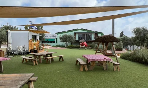 ארוחה טבעונית