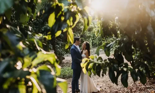 בנימינה בורג