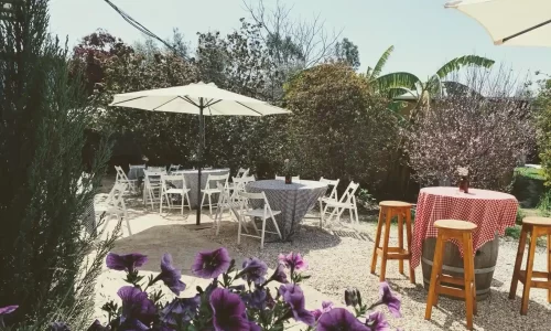 בר מצווה ביקב