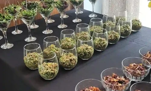 בר מצווה עם לינה