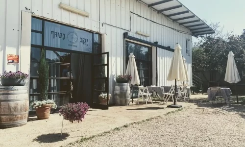 בת מצווה ביקב בשפלה