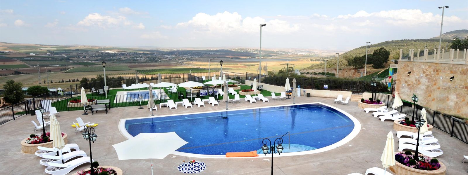 אוליב בגלבוע