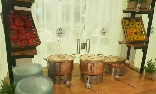 דריה חתונות