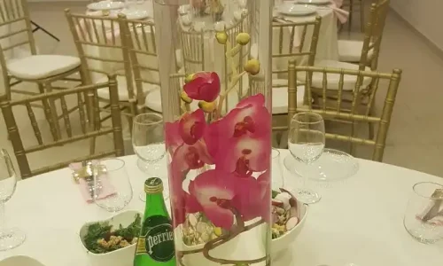 דריה שפת הכינרת