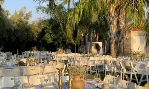 היער הירוק אירועים