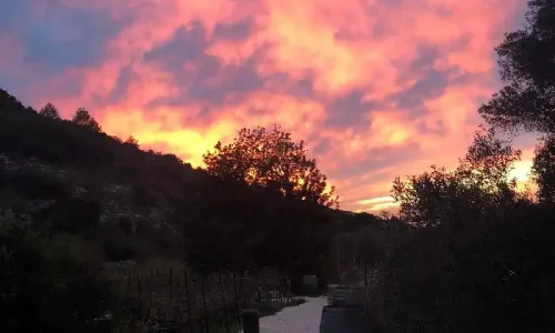 ייקב לכנסים