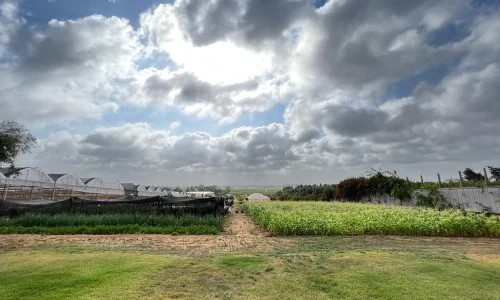 מקומות לסדנאות בטבע