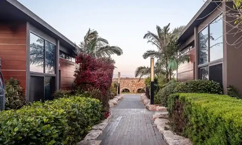 שבת חתן בצפון