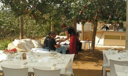 אירועים עסקיים בטבע